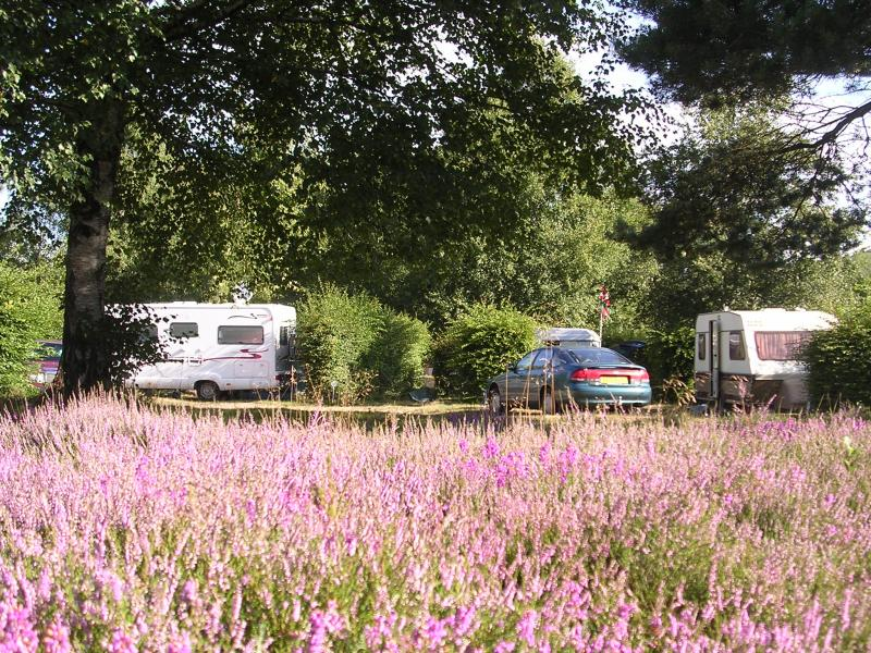 Camping de la Presqu'Ile à Lac de Vassivière, Hébergement, Lac de